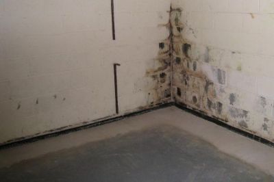 Kelder waterdicht maken Rotterdam